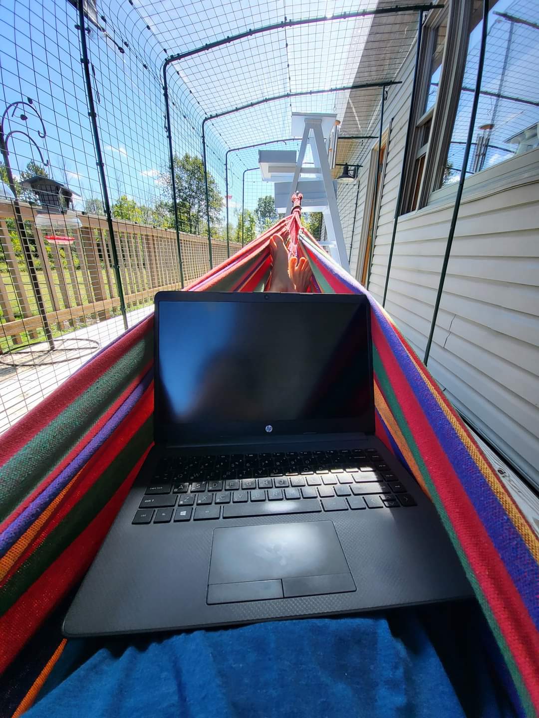 美國數位遊牧 Super Mei Travel 台灣數位遊牧村